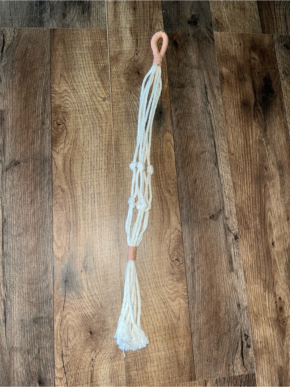 Plant hanger